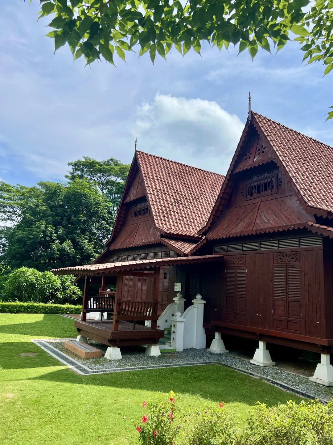 太治愈了！我在东莞找到了现实版绿野仙踪