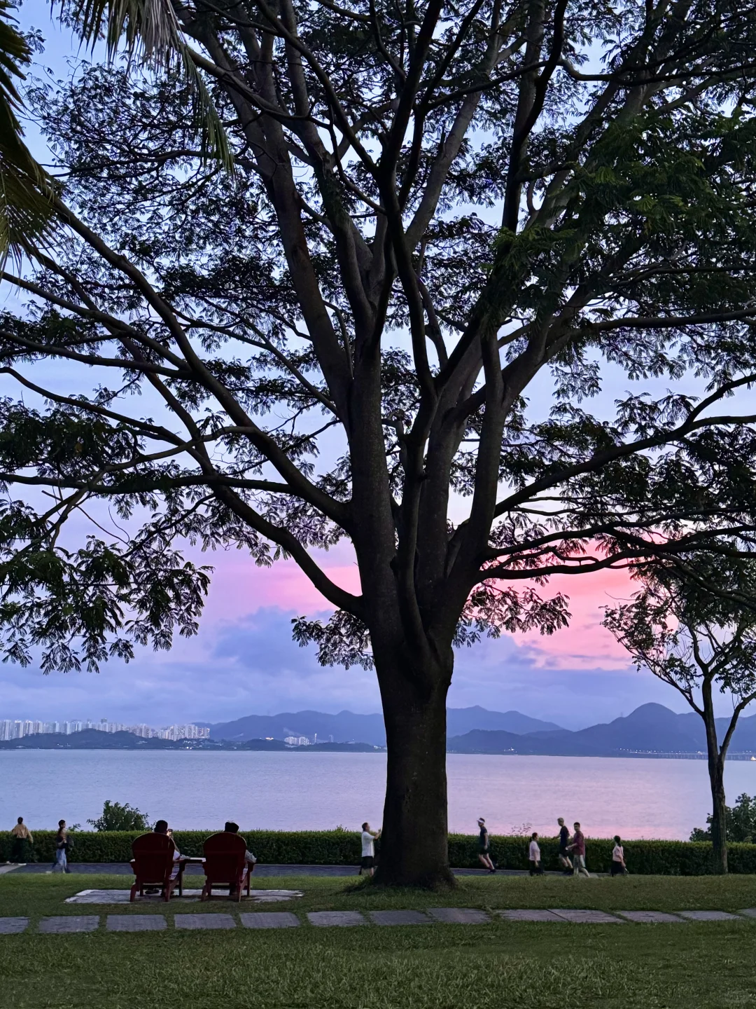 遇见电影《怦然心动》🌳
