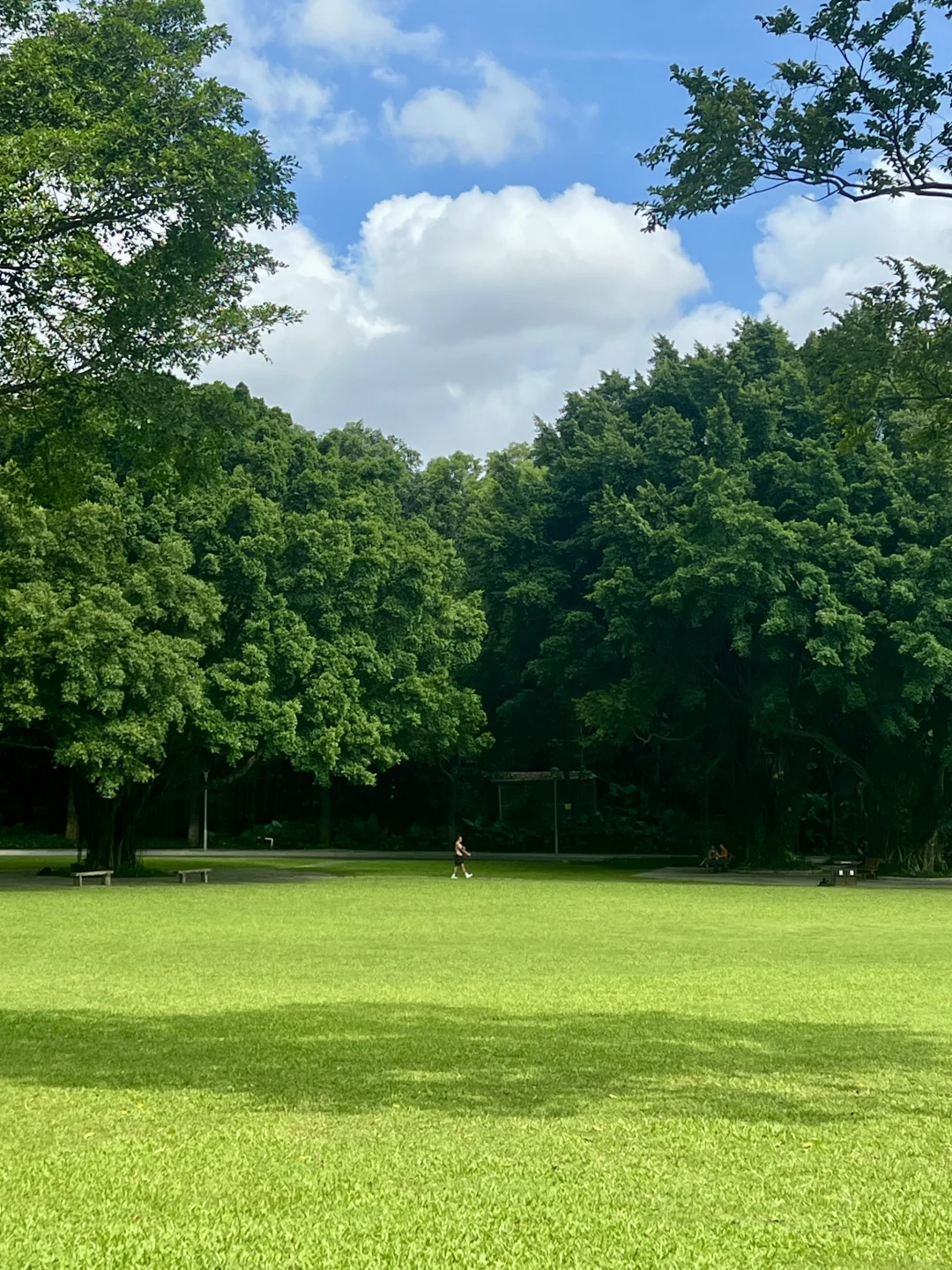 太治愈了！我在东莞找到了现实版绿野仙踪