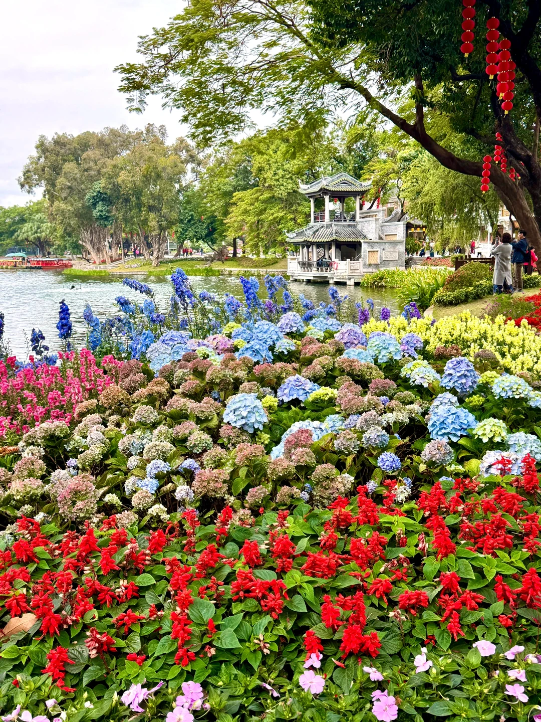 为了这18张Live图来趟广州……