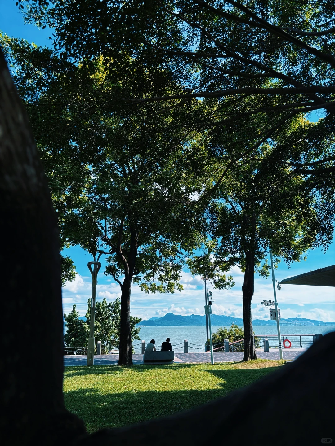 🌊一出地铁便是海！深圳湾能满足我所有愿望