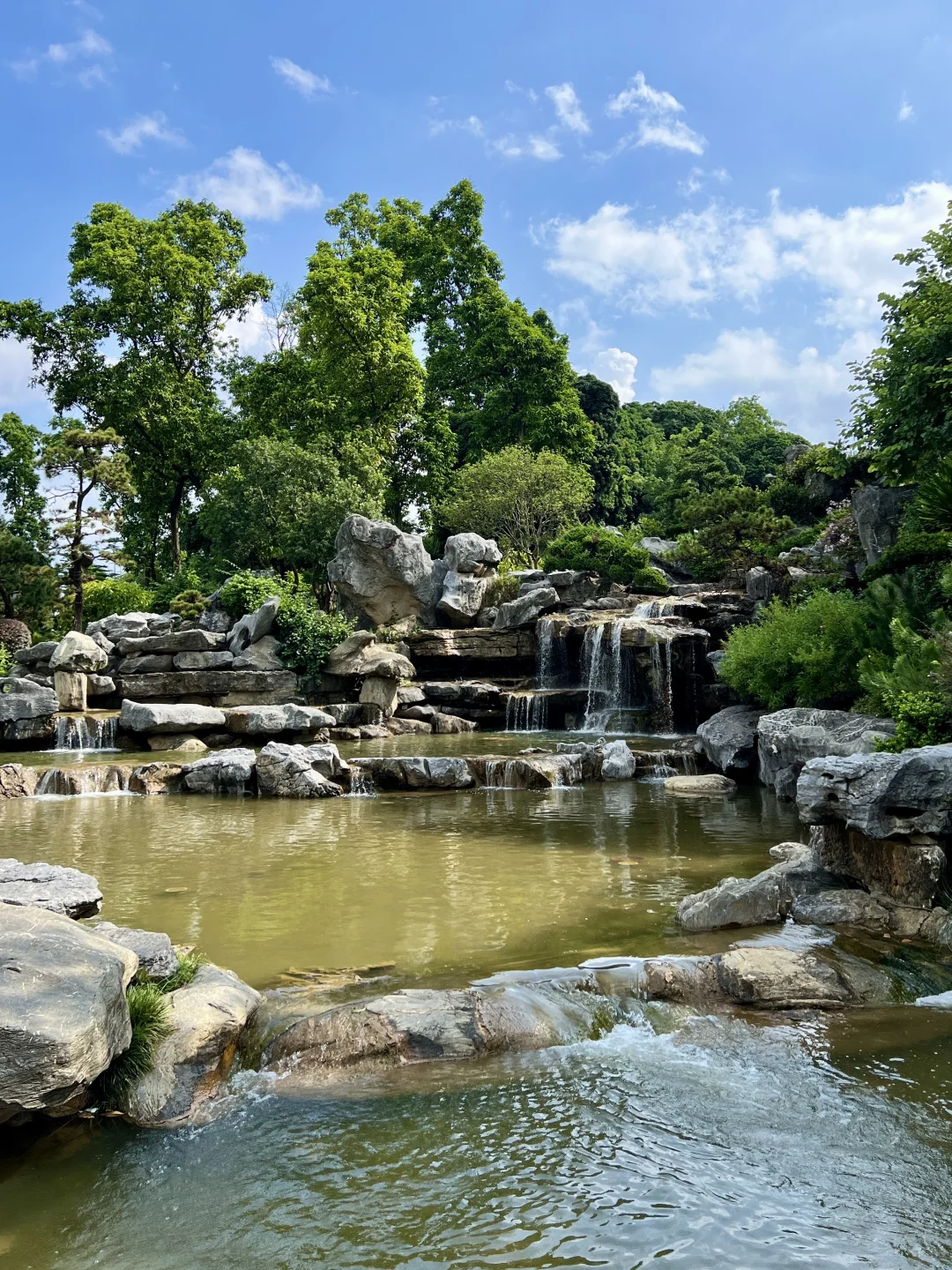 太治愈了！我在东莞找到了现实版绿野仙踪
