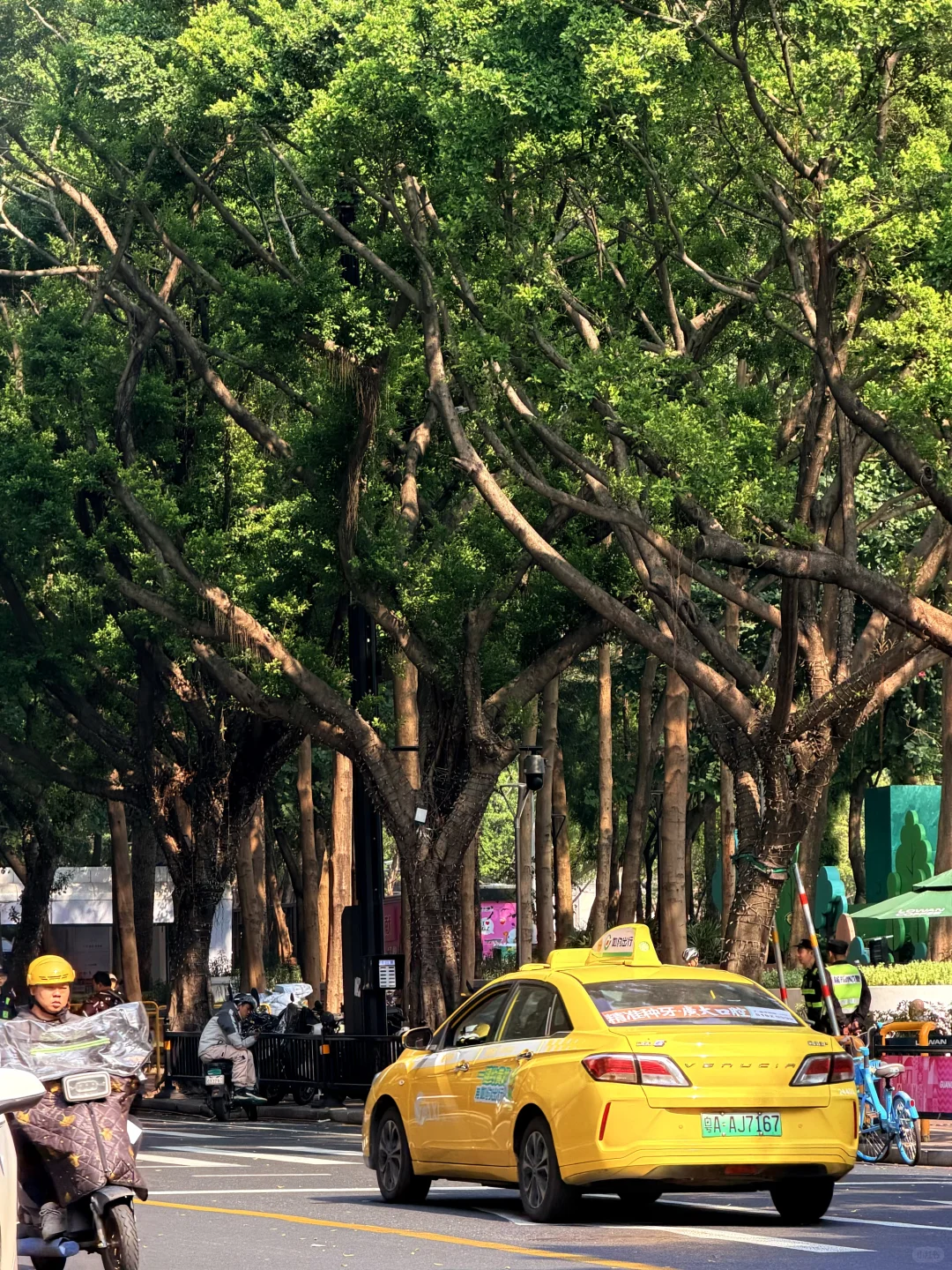 📍领略了广州的漂亮