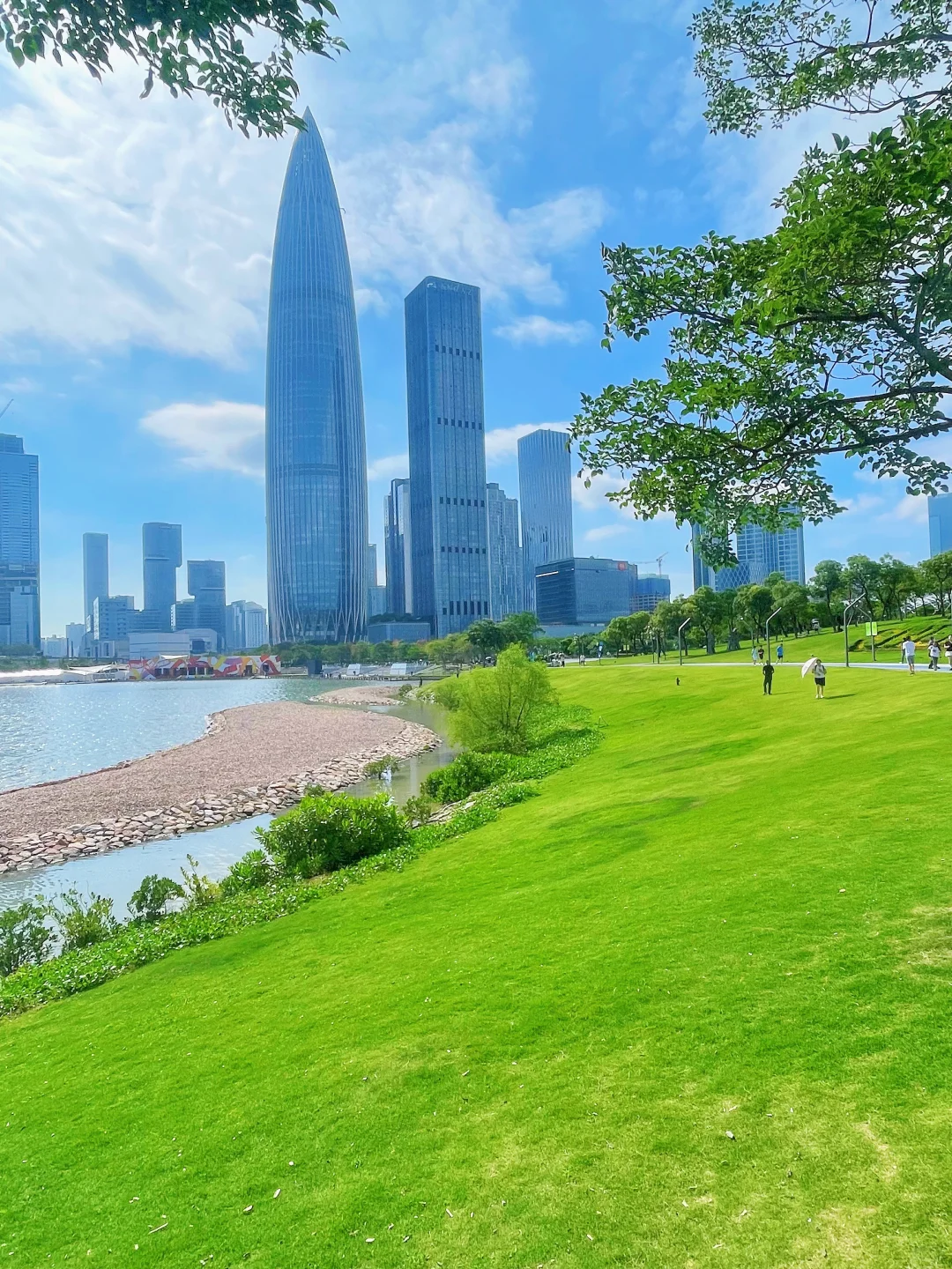 来深圳，不来这里准后悔❗️深圳湾游玩建议