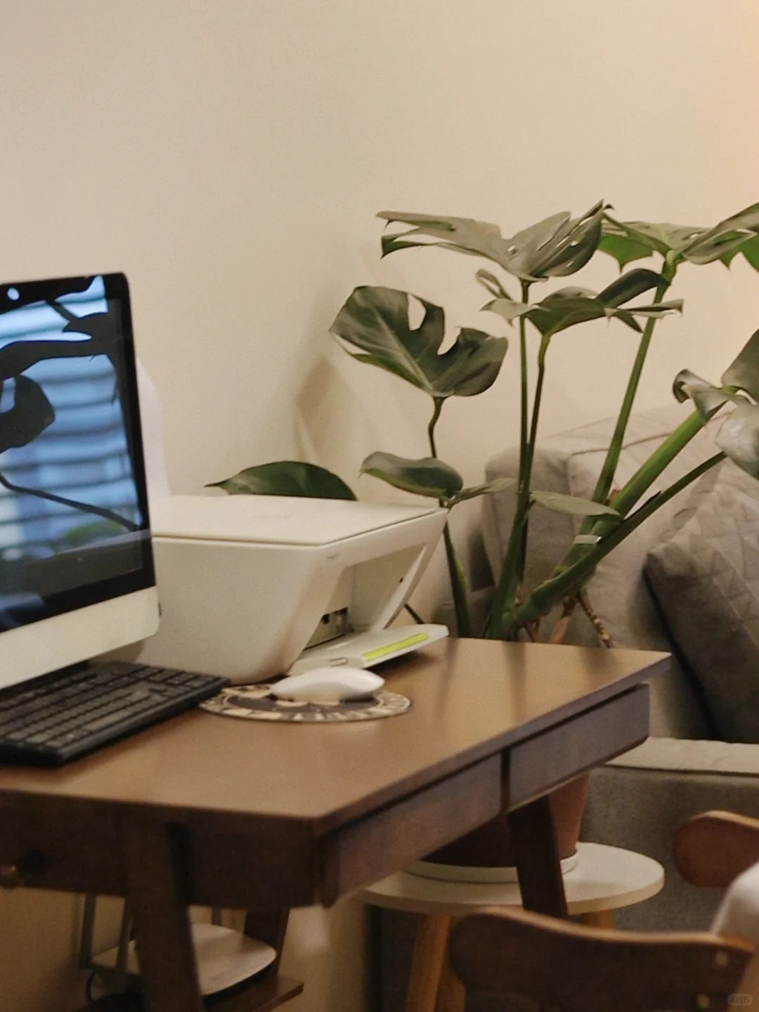 📍深圳纹身｜欢迎认识我的纹身师们✨