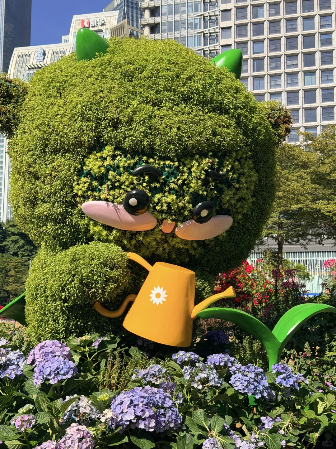 冬天的广州长这样