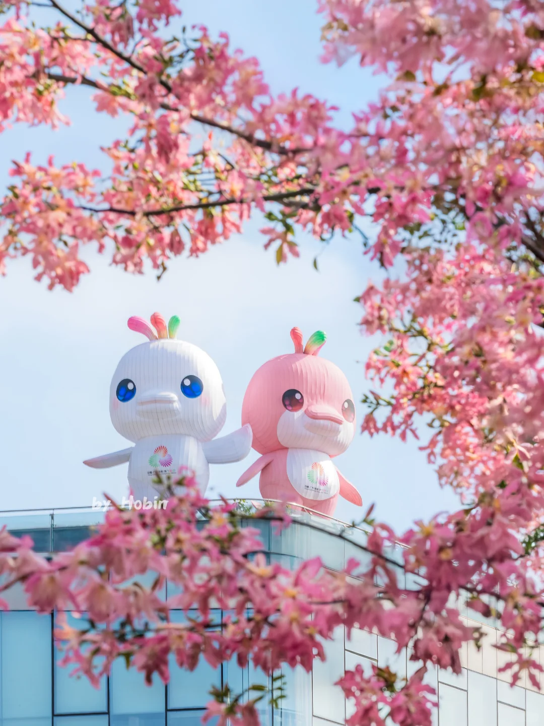 满城粉黛,温柔了整座城市