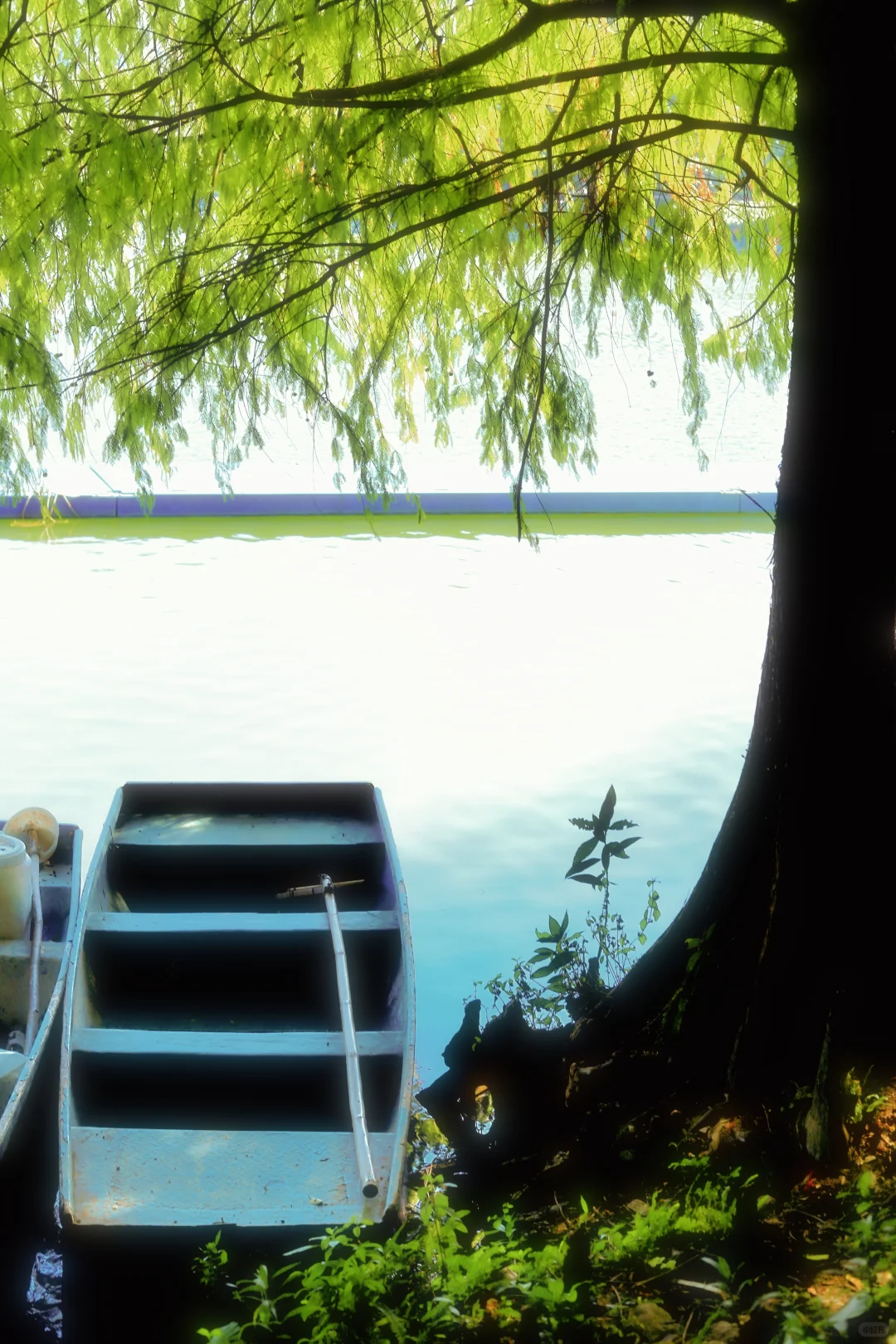 📍广州·麓湖公园｜治愈系森林氧吧