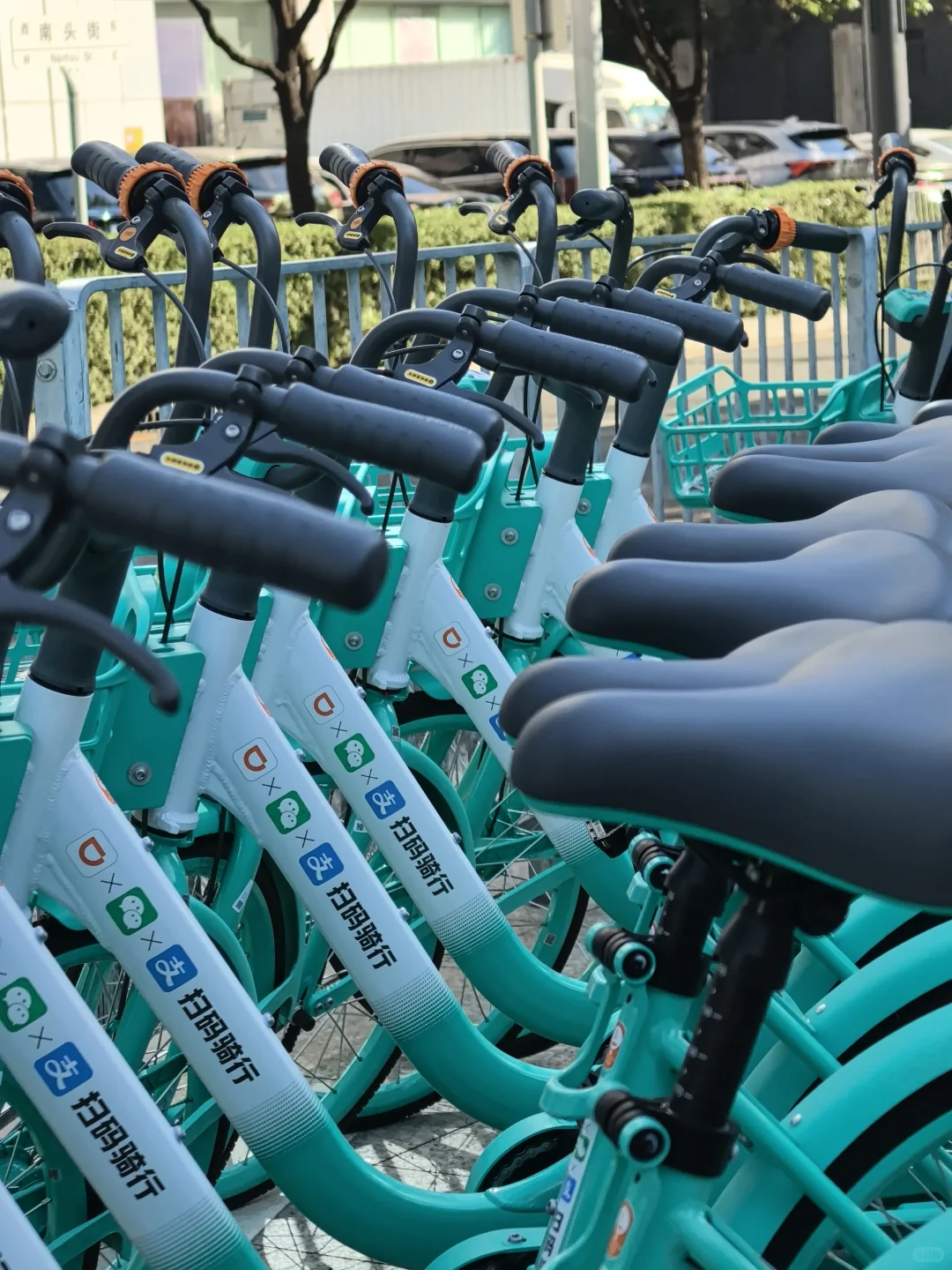 我的2025封神照片