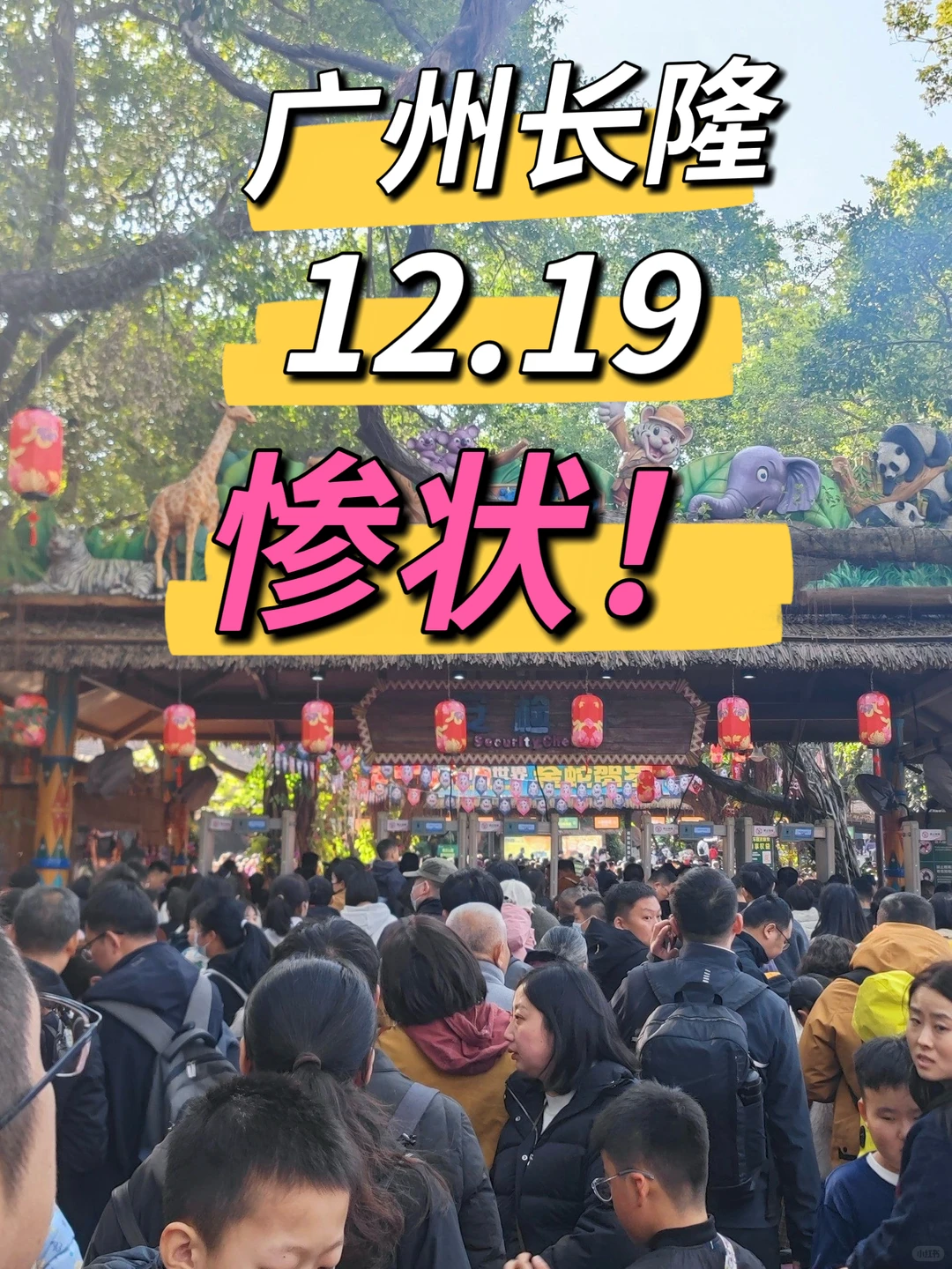 广州长隆12.19号惨状！没来的改期吧😭