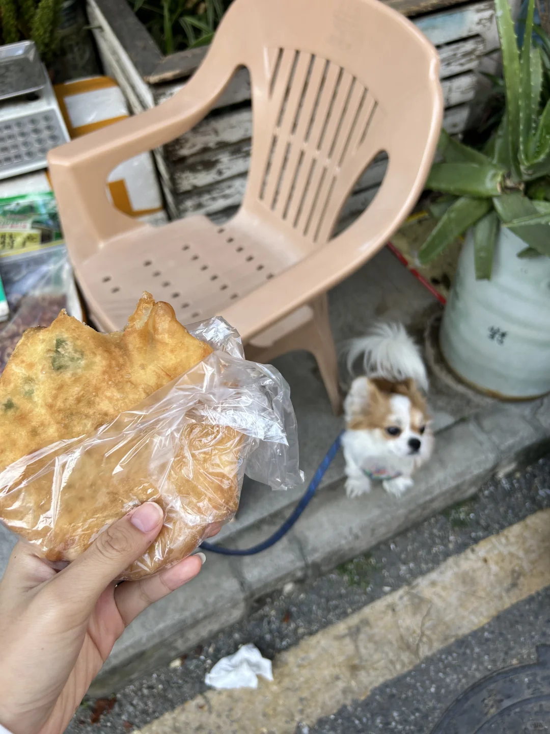 深圳南山5r热干面好吃到哭😭