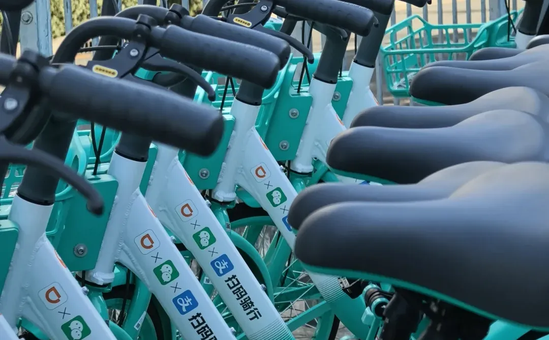 我的2025封神照片