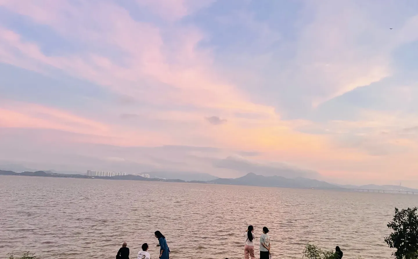 来深圳，不来这里准后悔❗️深圳湾游玩建议