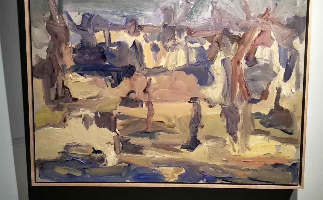 深圳观澜美术馆《发生·发现》