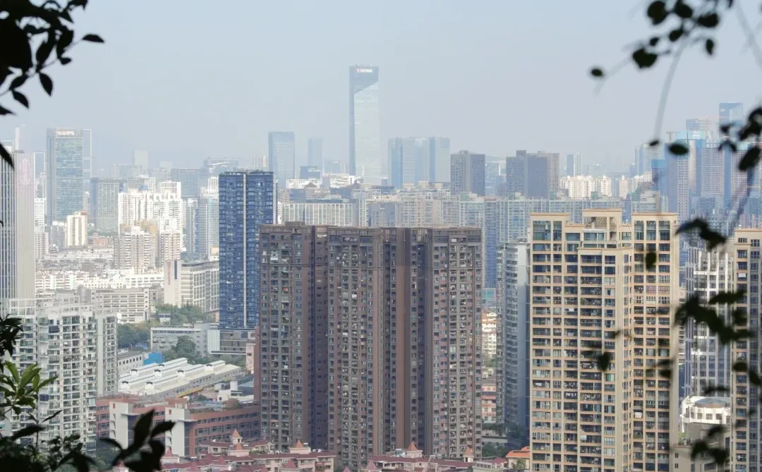 深圳大南山真的很低调