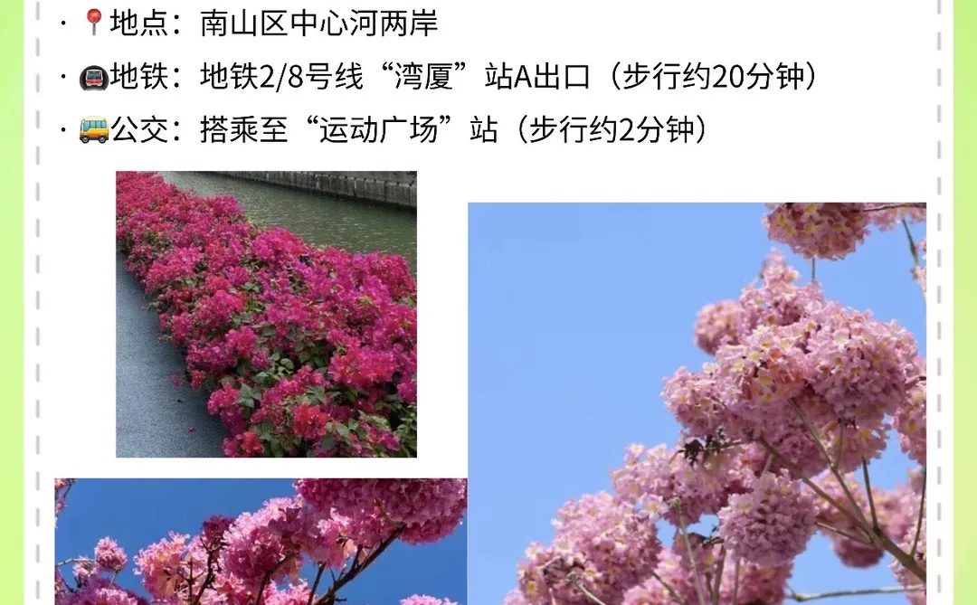 12.20～12.21，📍深圳10个游玩好去处🔥全免费