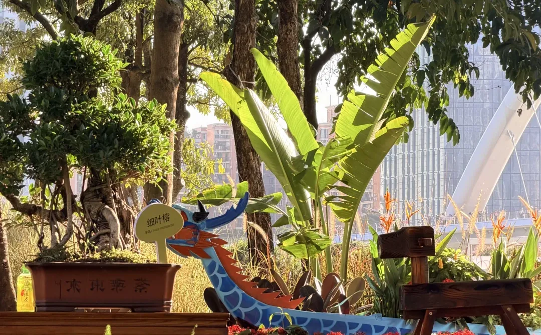 冬天的广州长这样