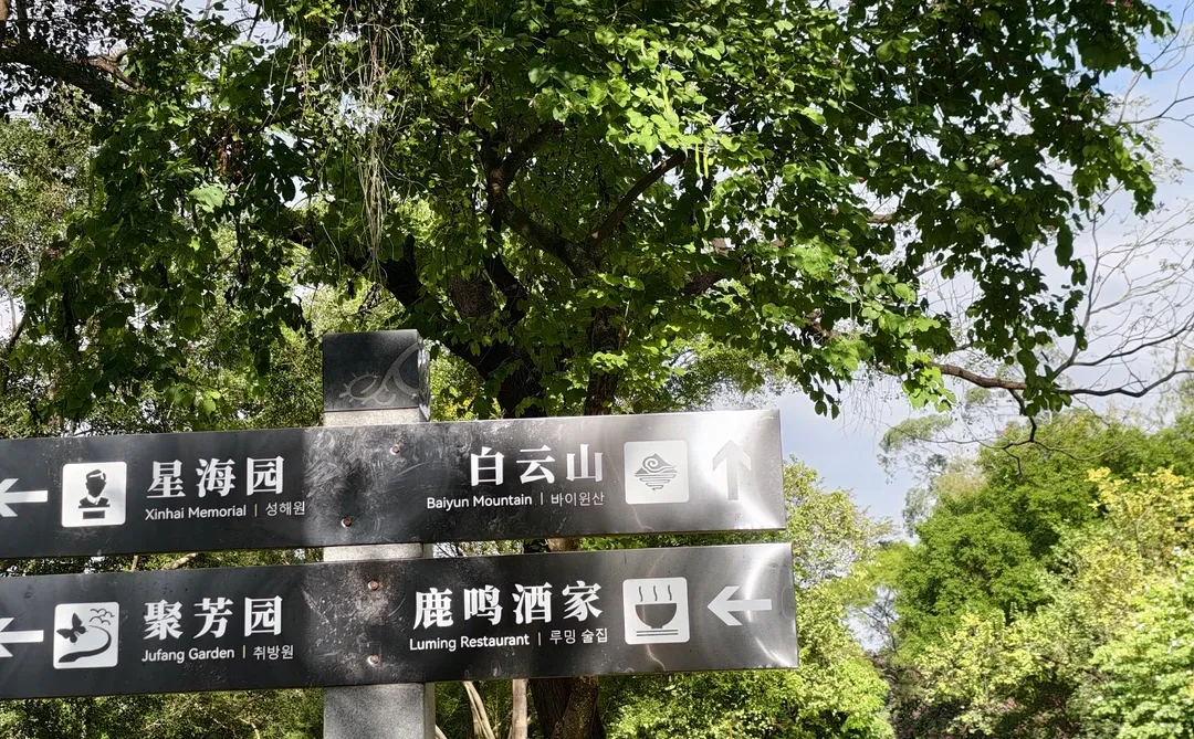 周末好去处‼️超酷云道穿越线8km连玩👏