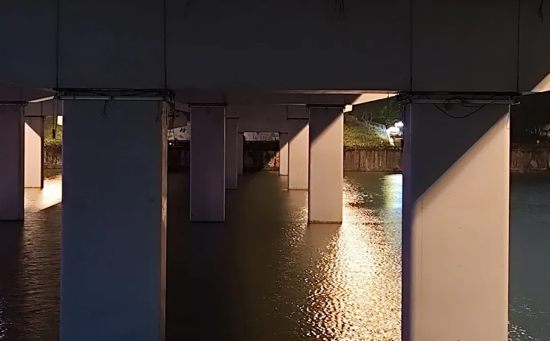 人才公园|深圳最好的地方都是免费的