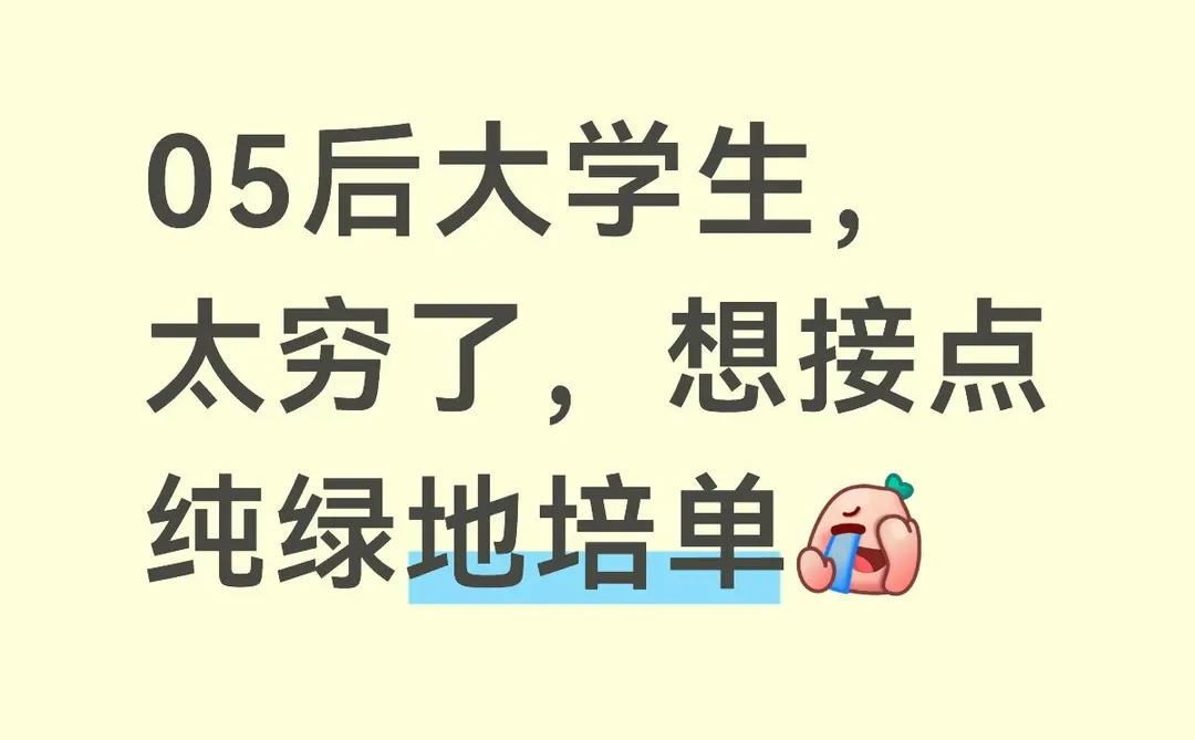 深圳男地培实测！人均30搞定打工人游客午餐