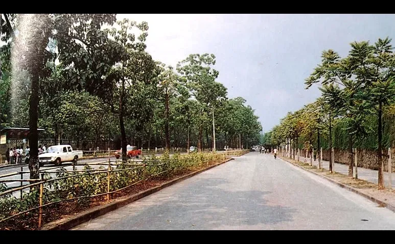 广州彩色老照片：东风东路