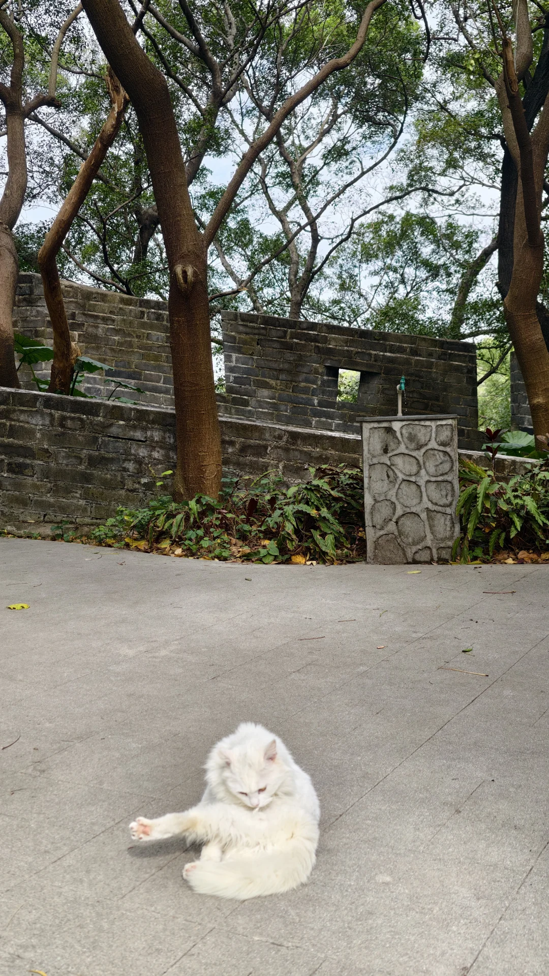 周末好去处‼️超酷云道穿越线8km连玩👏