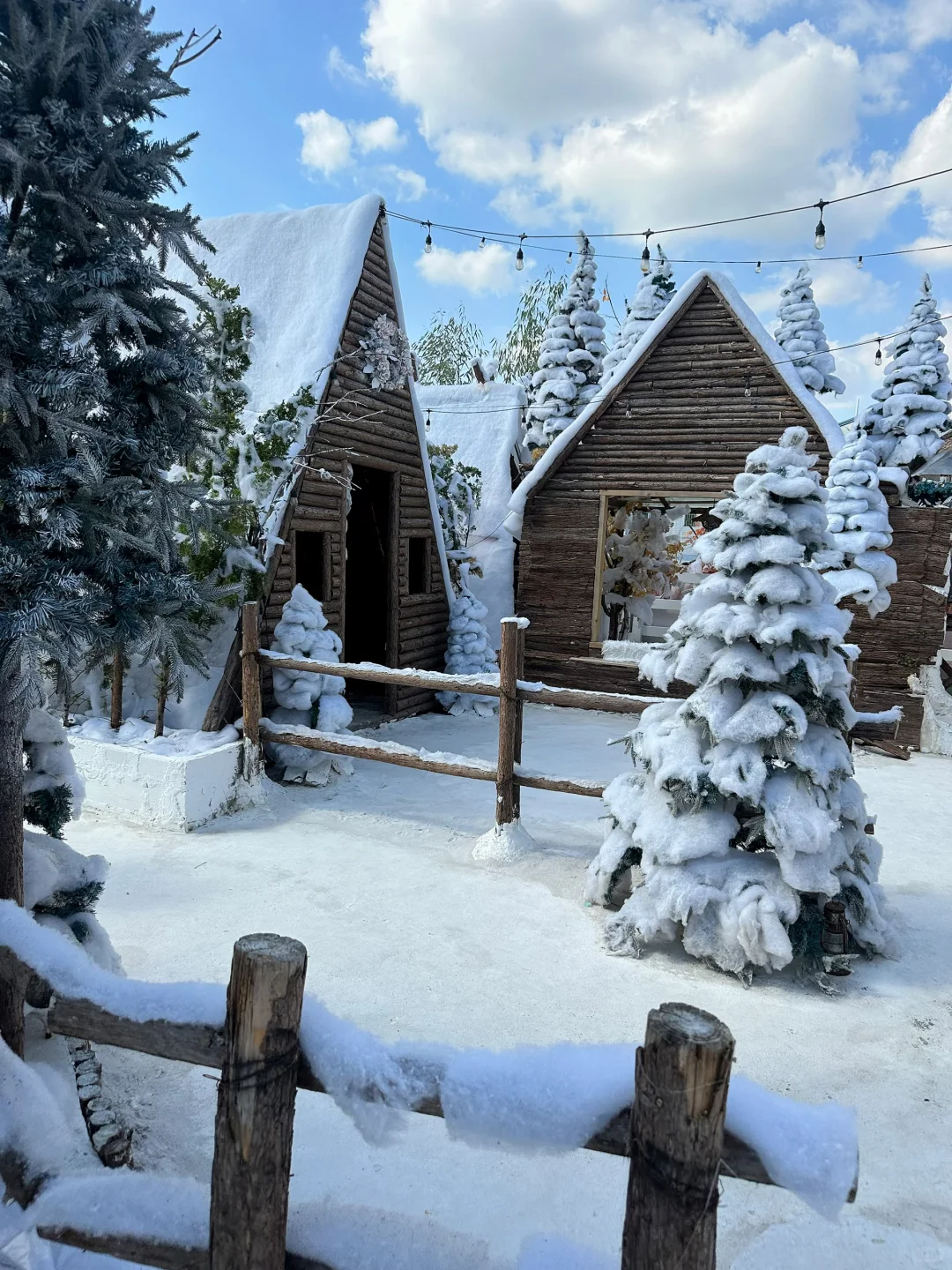 深圳新开的！真的不在阿勒泰！