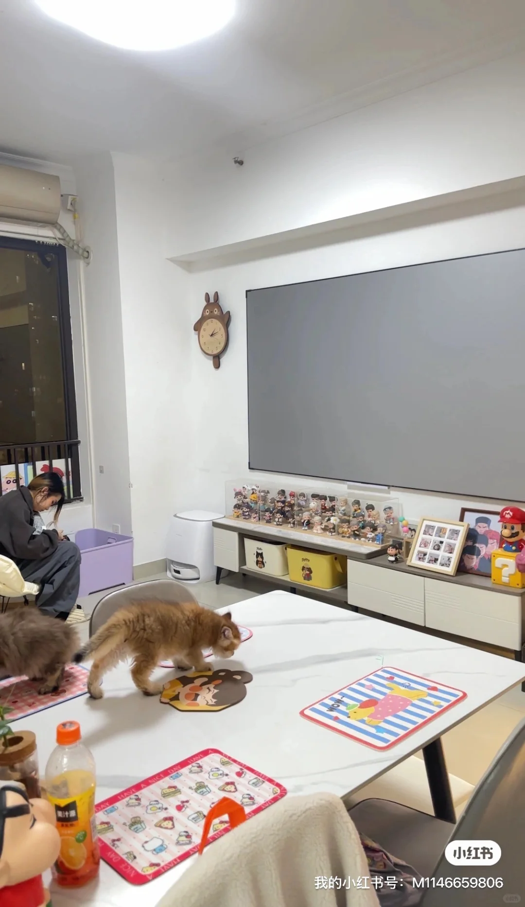 广州| 家庭式宠物寄养 开始接毛孩子啦