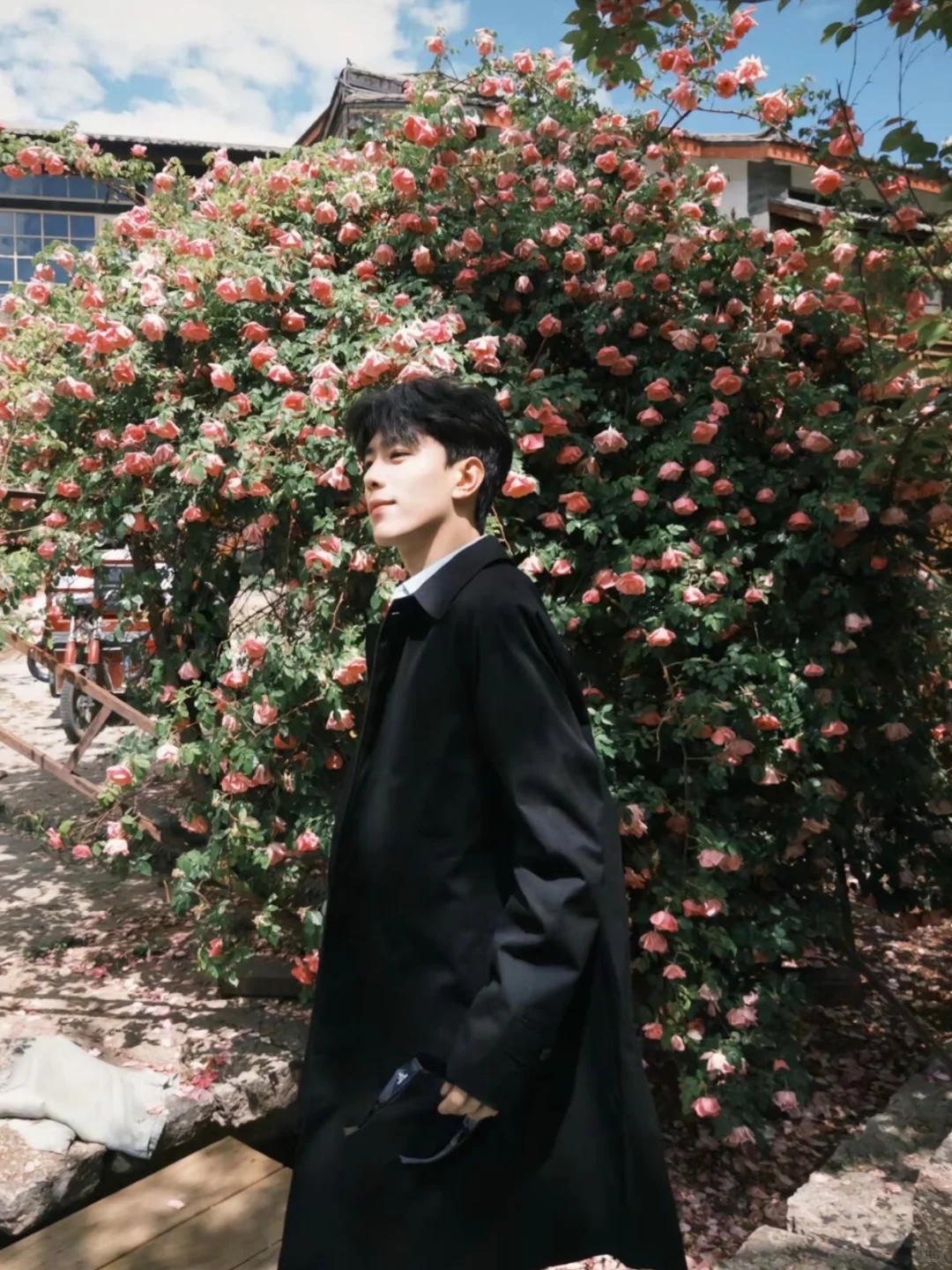 深圳向导 高颜值Citywalk专属搭子！