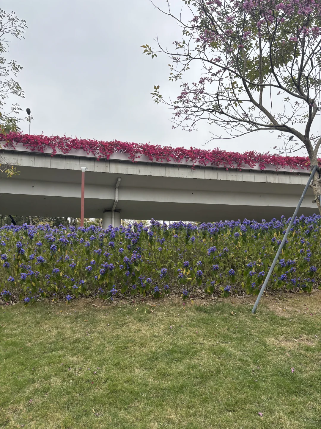 12.20-12.21深圳年轻人周末活动，冬至快乐