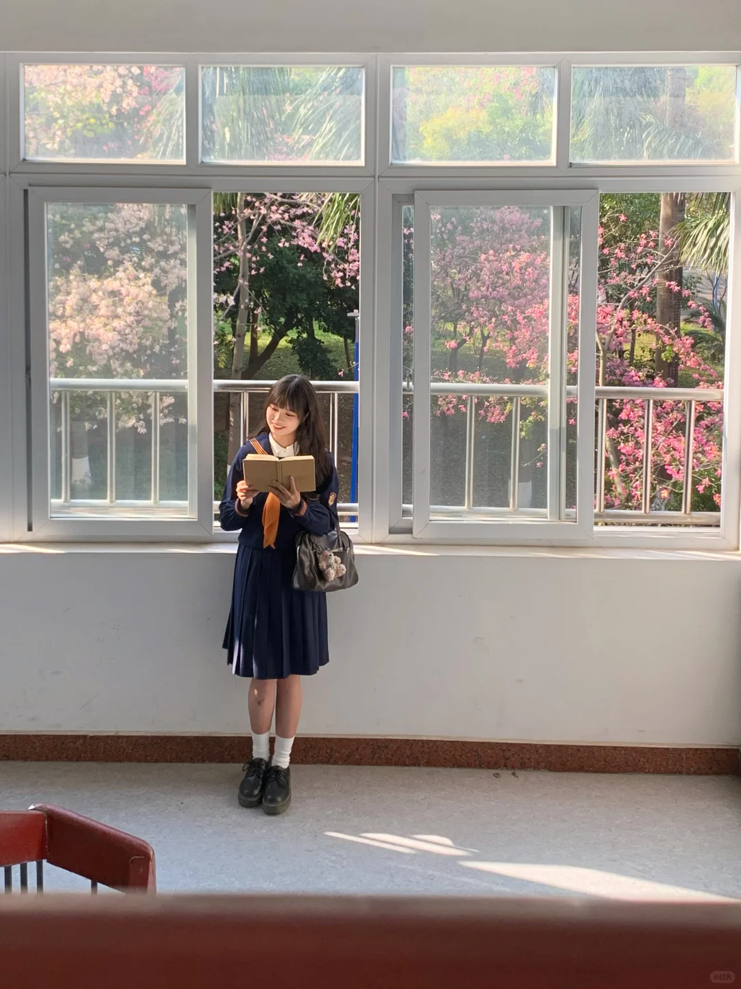 Live图❄️ 一棵树就是…广州一场盛大的冬天！！