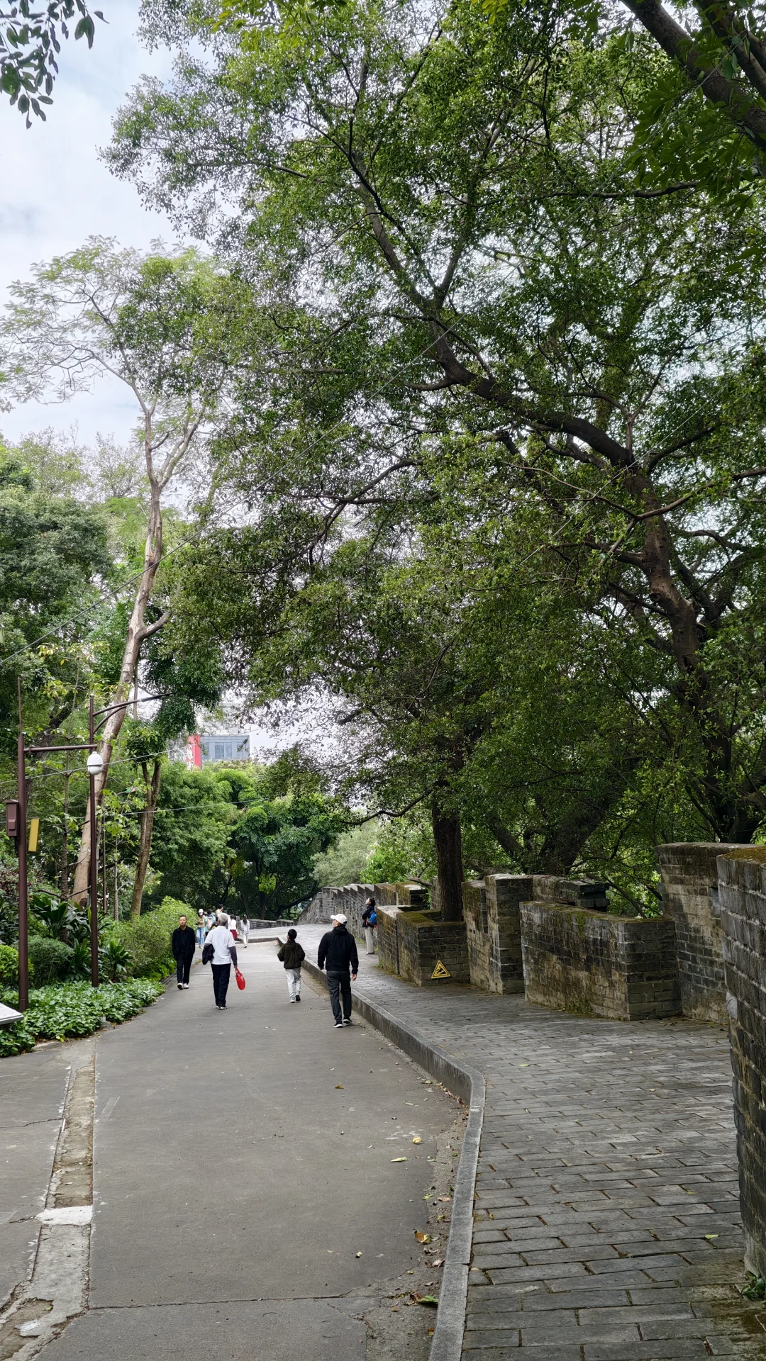 周末好去处‼️超酷云道穿越线8km连玩👏