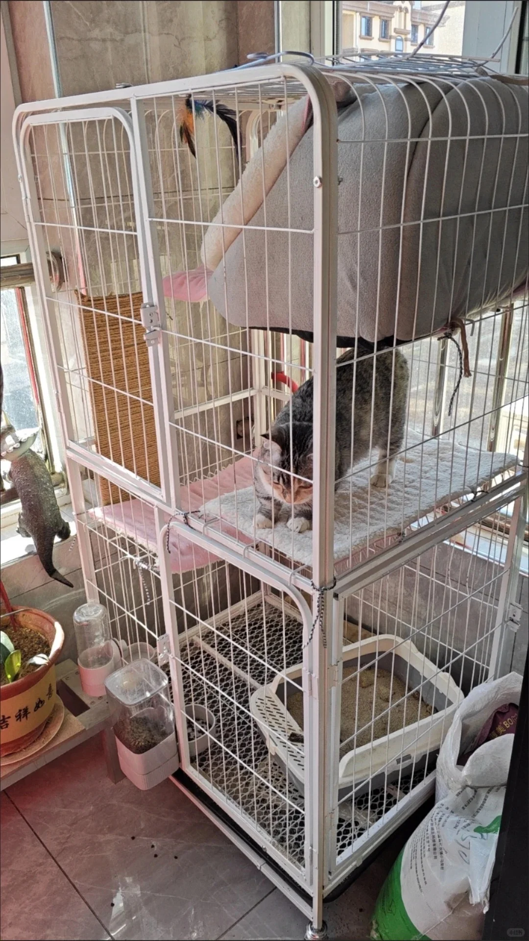 广州番禺闲置猫笼