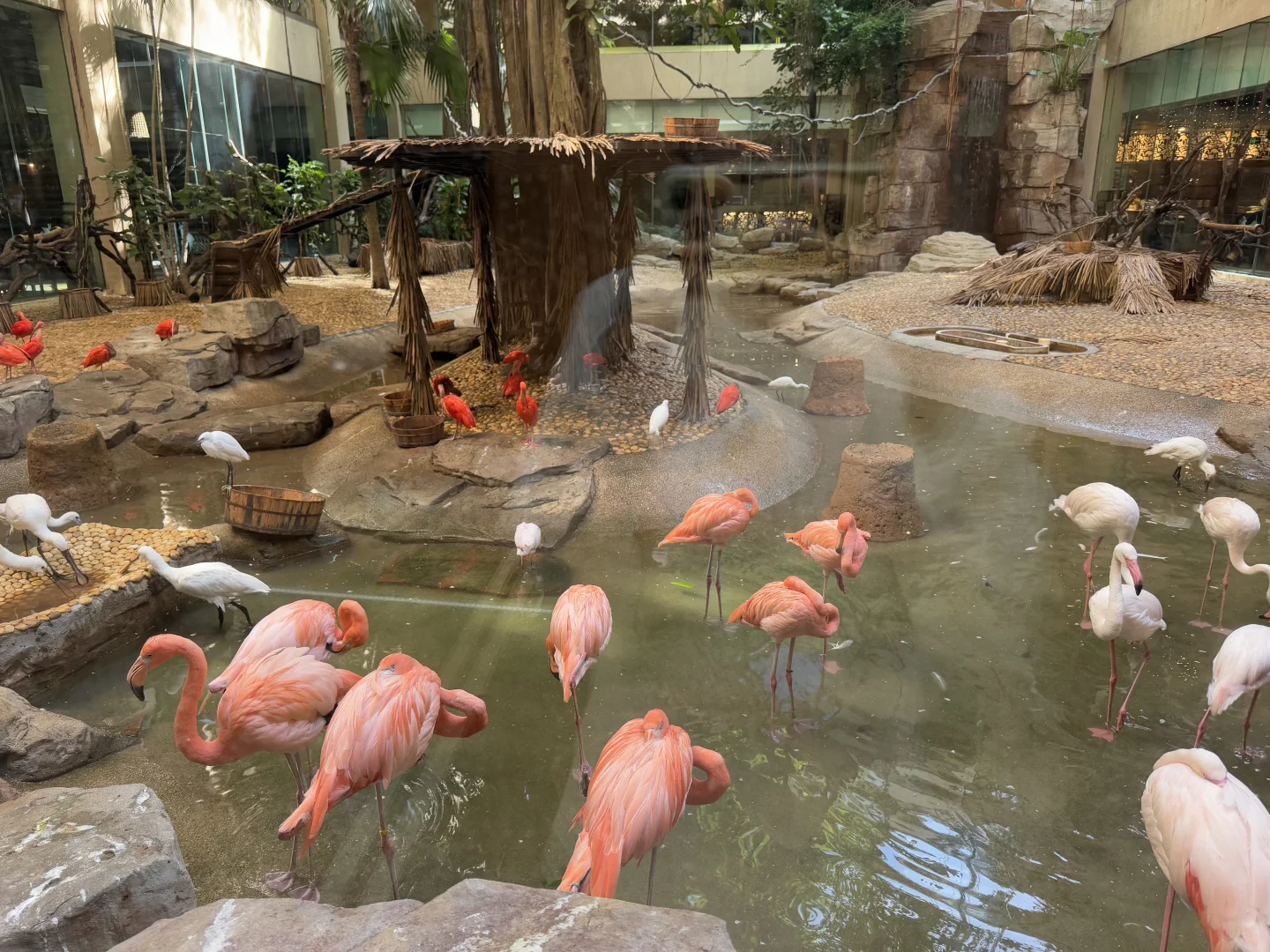 穷鬼第一次入住长隆酒店！