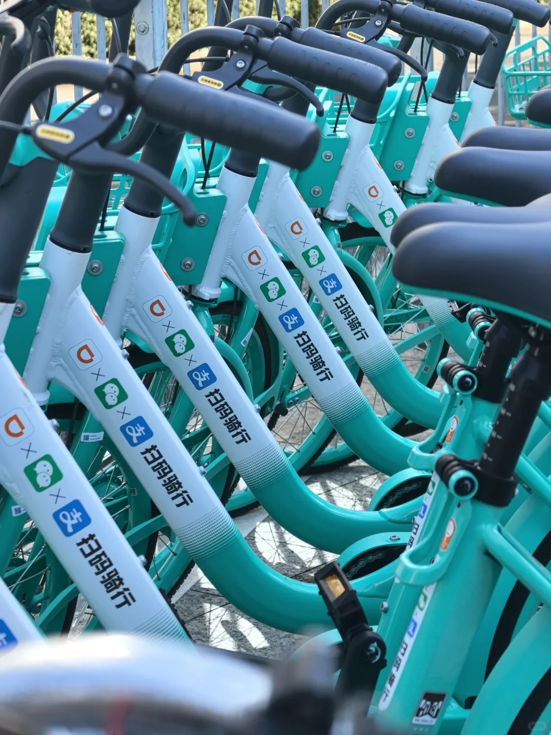 我的2025封神照片