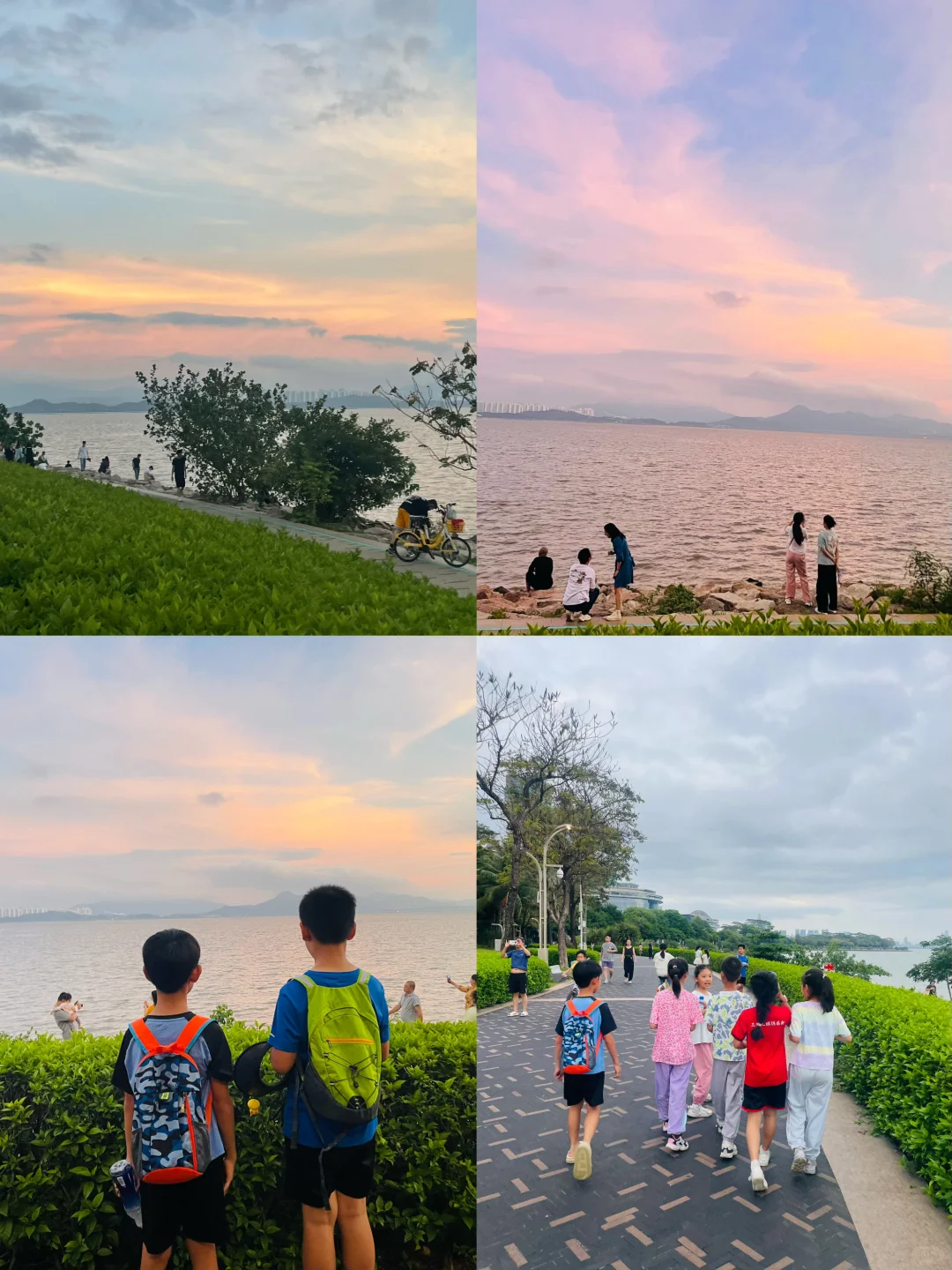 来深圳，不来这里准后悔❗️深圳湾游玩建议