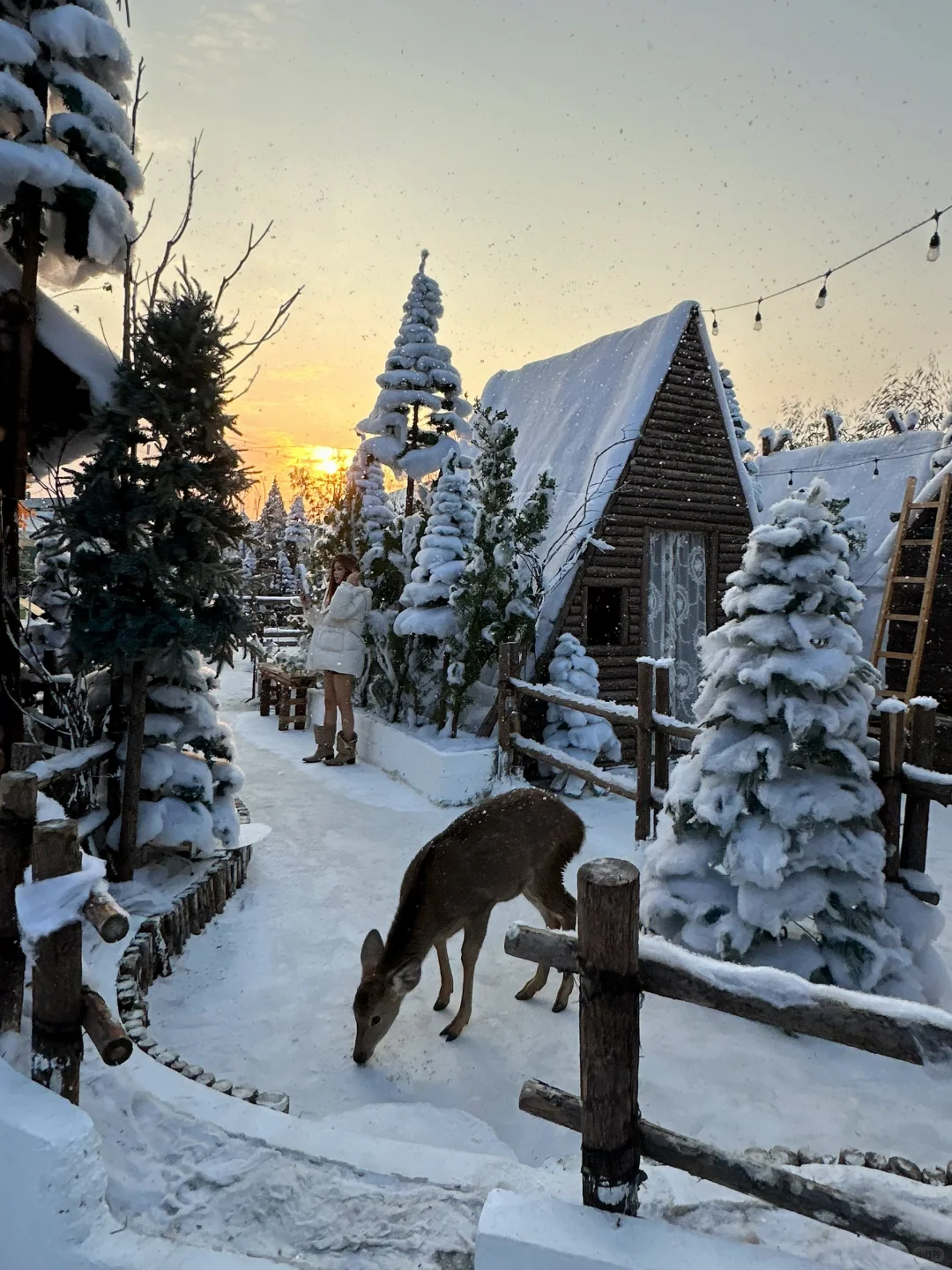 深圳新开的！真的不在阿勒泰！