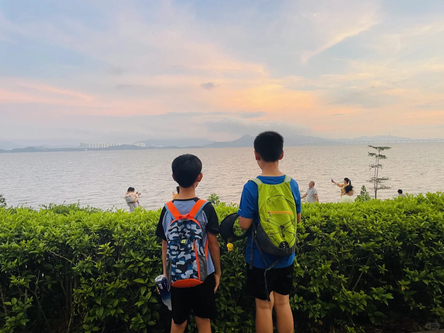 来深圳，不来这里准后悔❗️深圳湾游玩建议