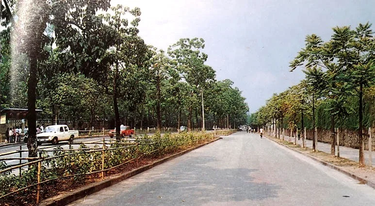 广州彩色老照片：东风东路