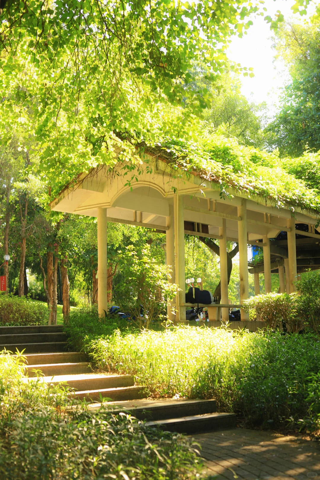 📍广州·麓湖公园｜治愈系森林氧吧