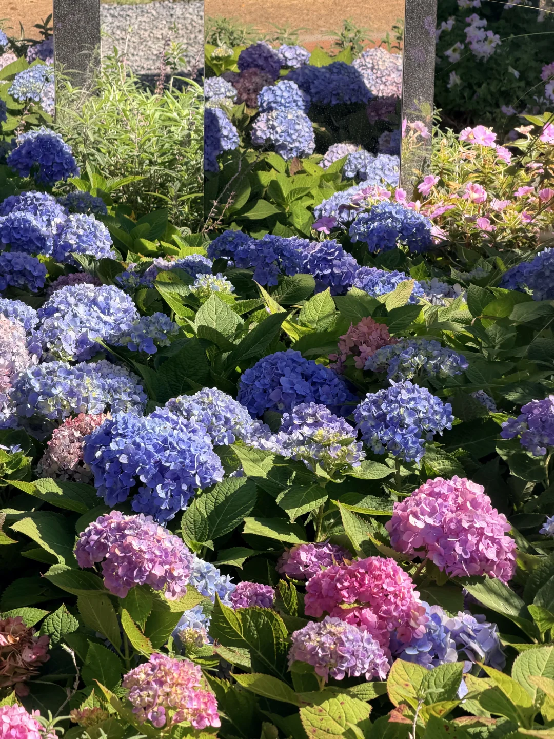 冬天的广州长这样