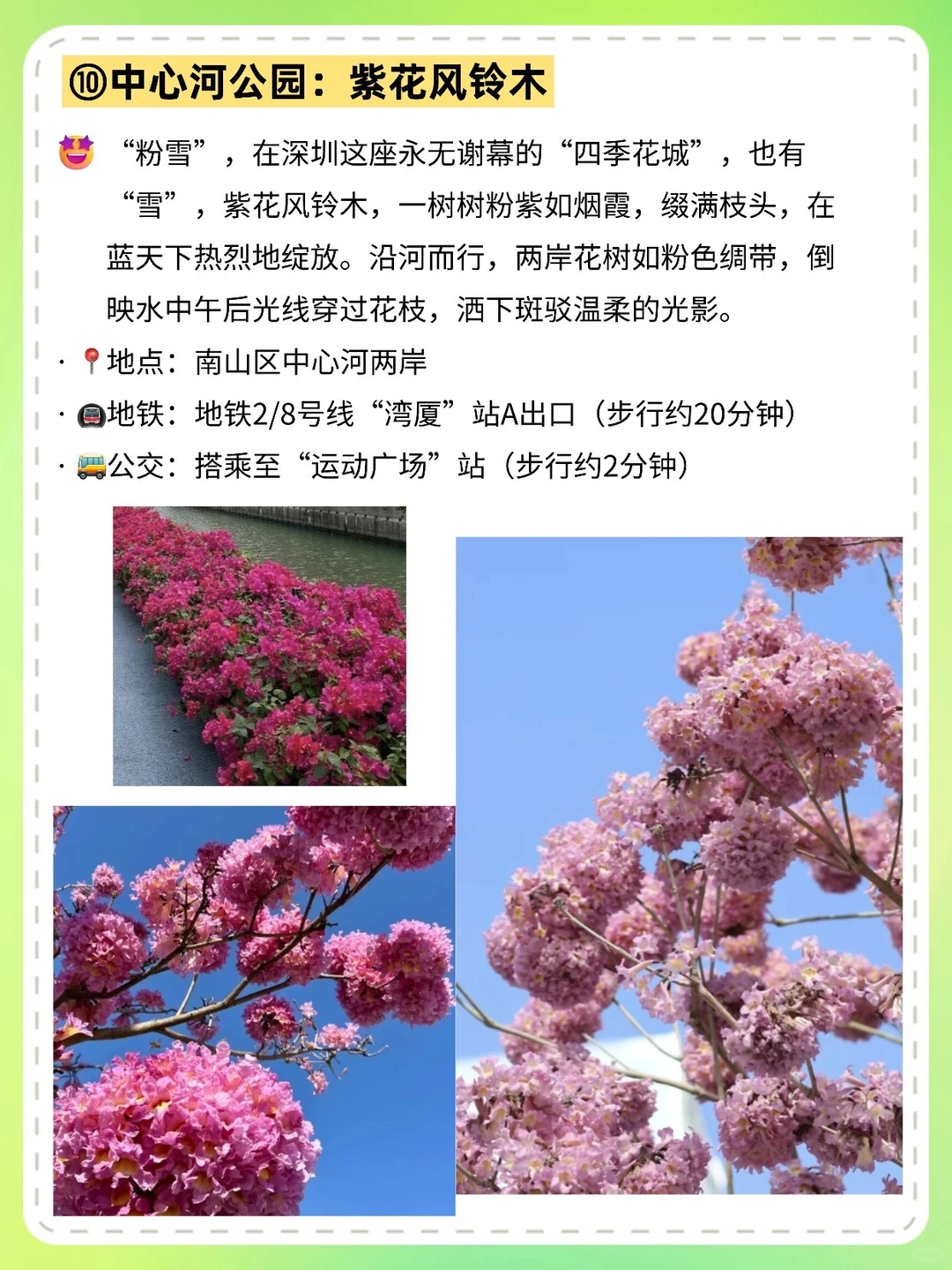 12.20～12.21，📍深圳10个游玩好去处🔥全免费