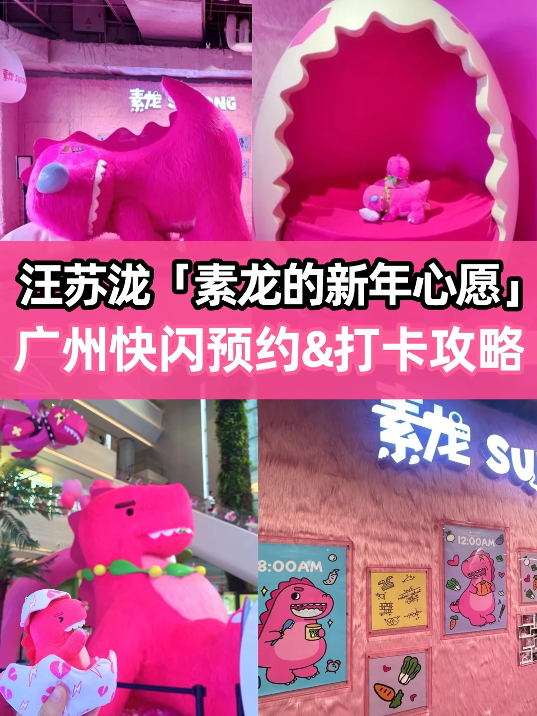 IP正确❗️素龙快闪广州站！附详细打卡攻略