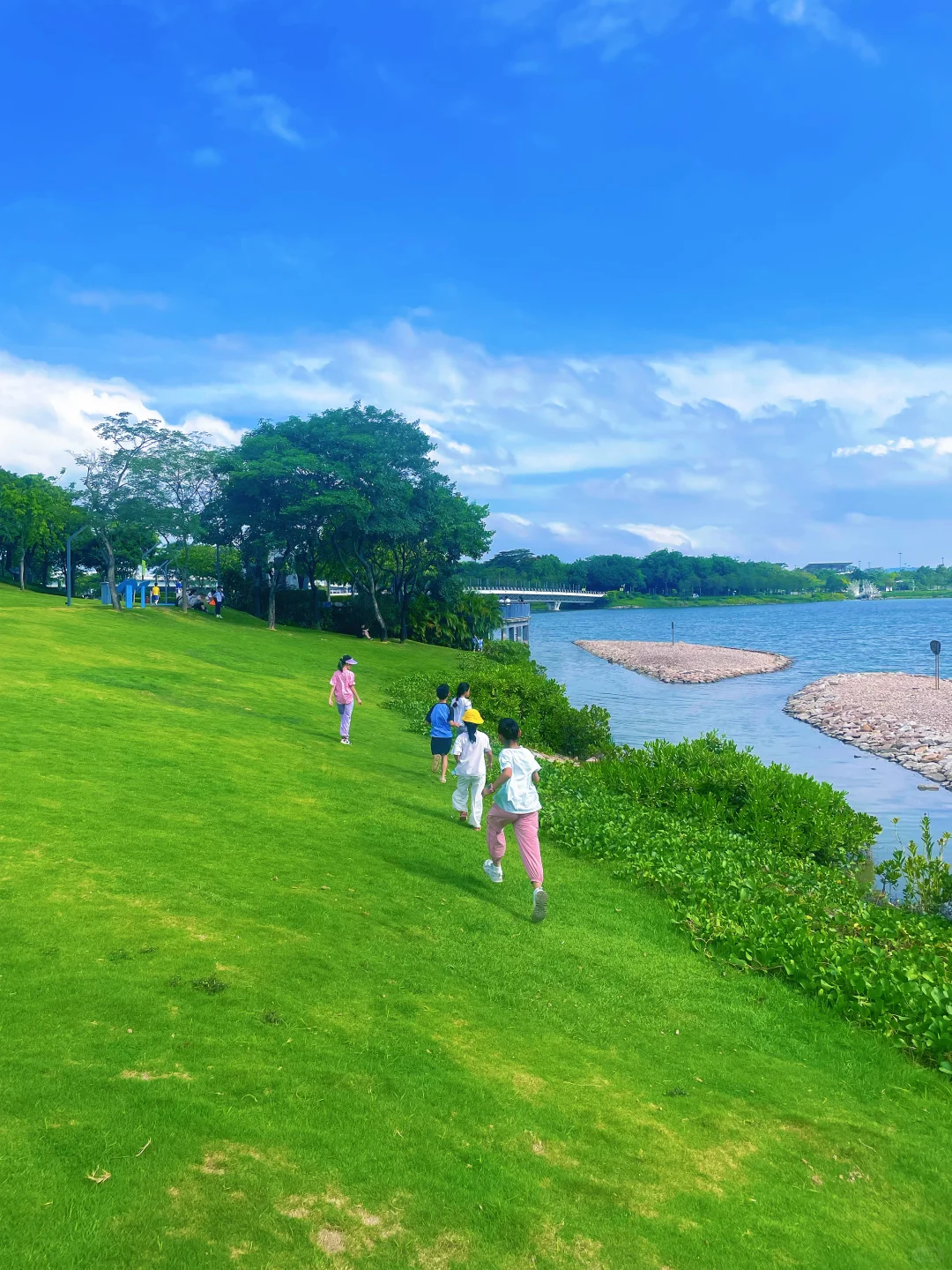 来深圳，不来这里准后悔❗️深圳湾游玩建议