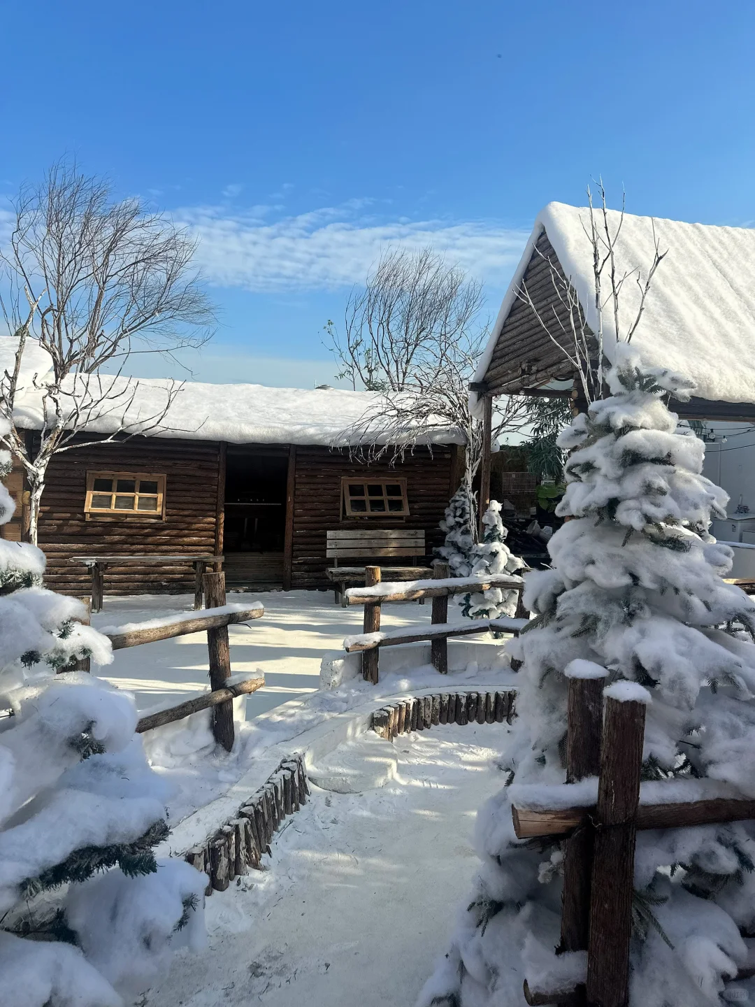深圳新开的！真的不在阿勒泰！