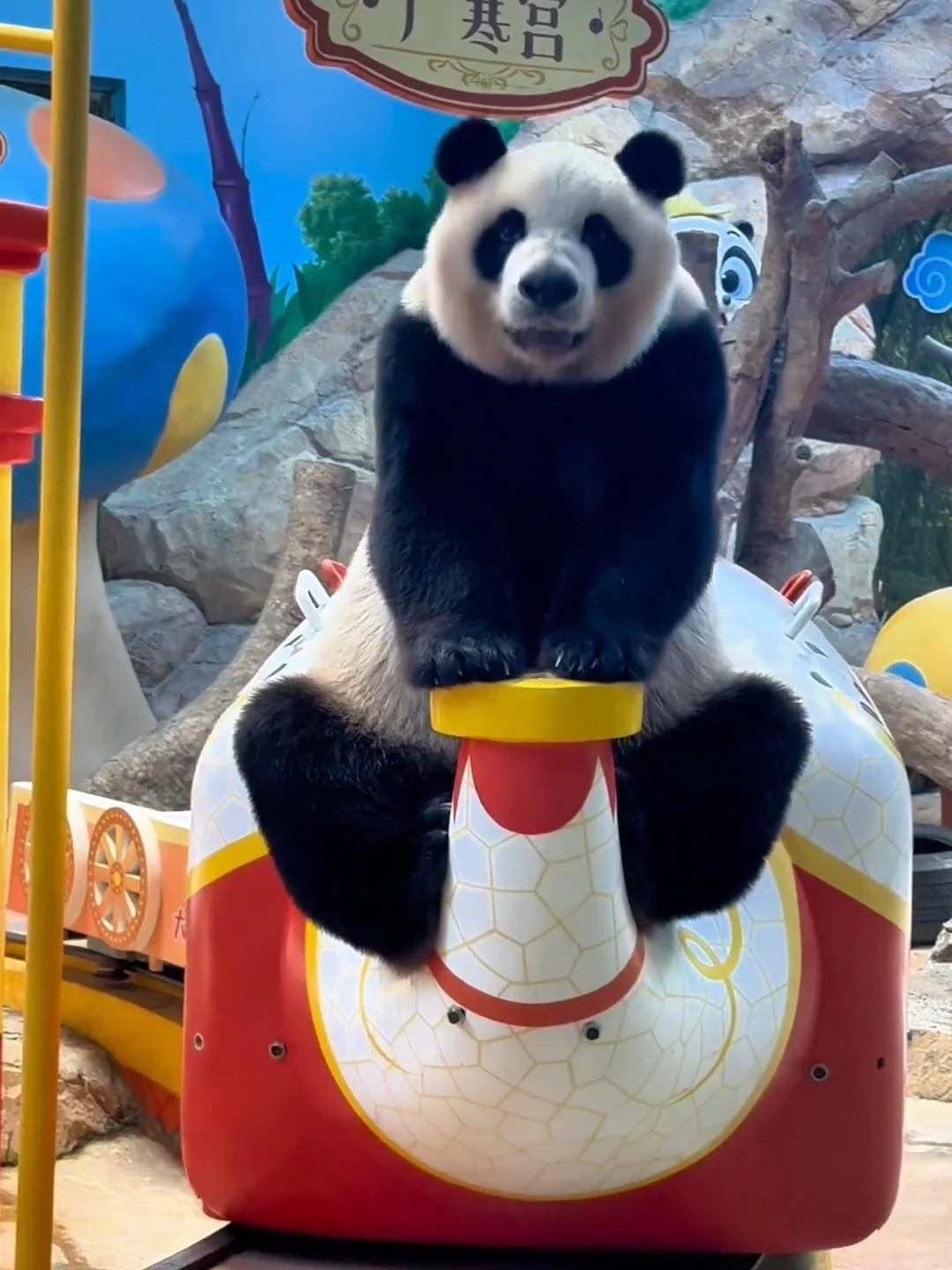 广州长隆最划算？住宿+路线+避雷全攻略