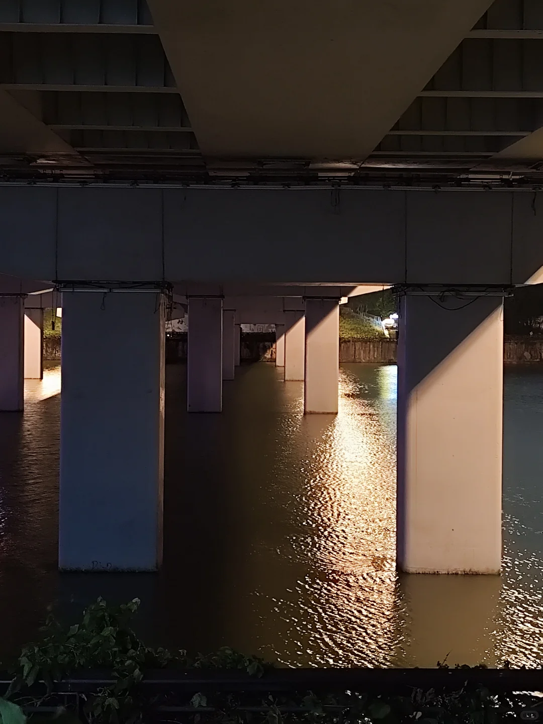 人才公园|深圳最好的地方都是免费的