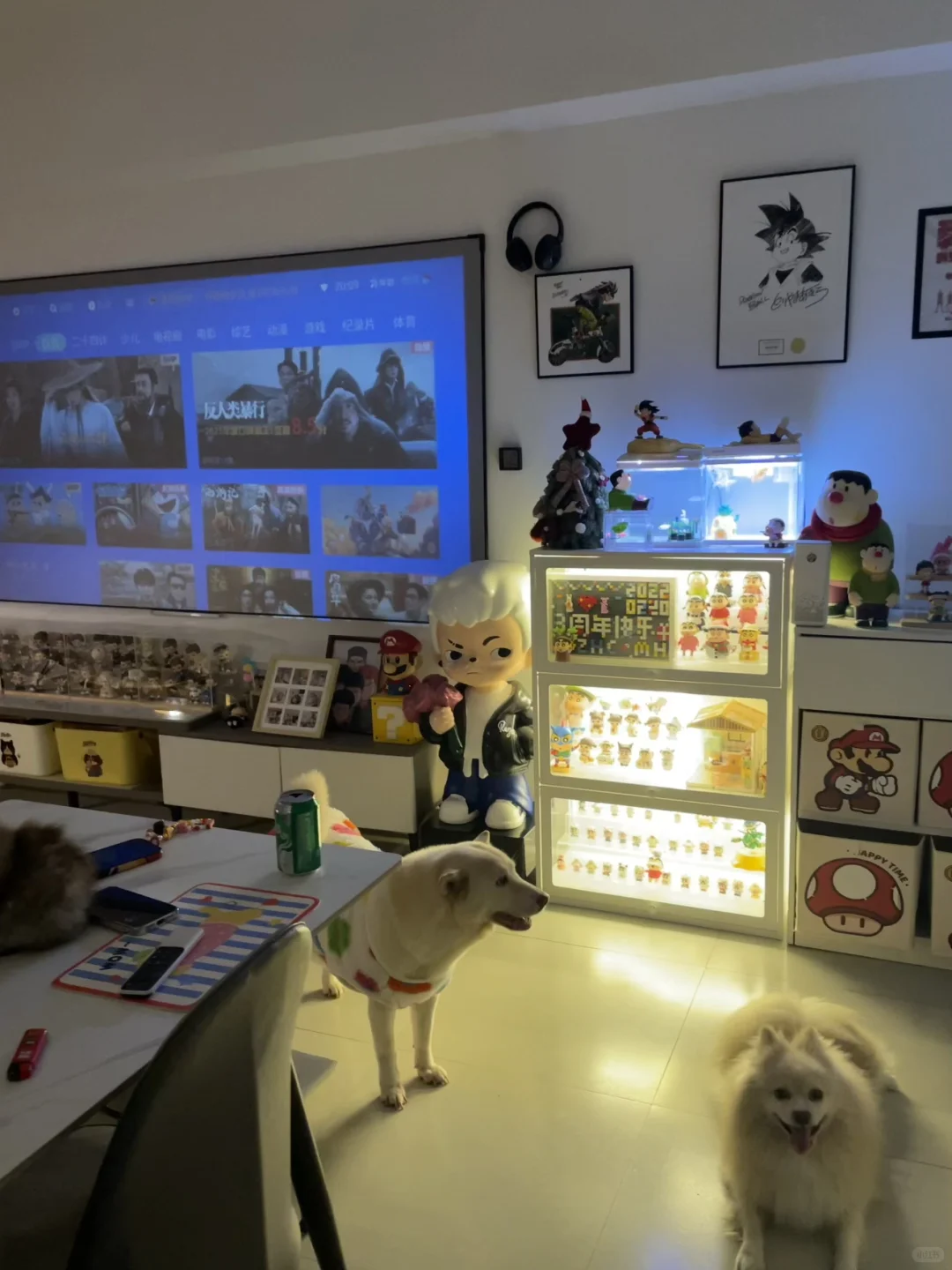 广州| 家庭式宠物寄养 开始接毛孩子啦