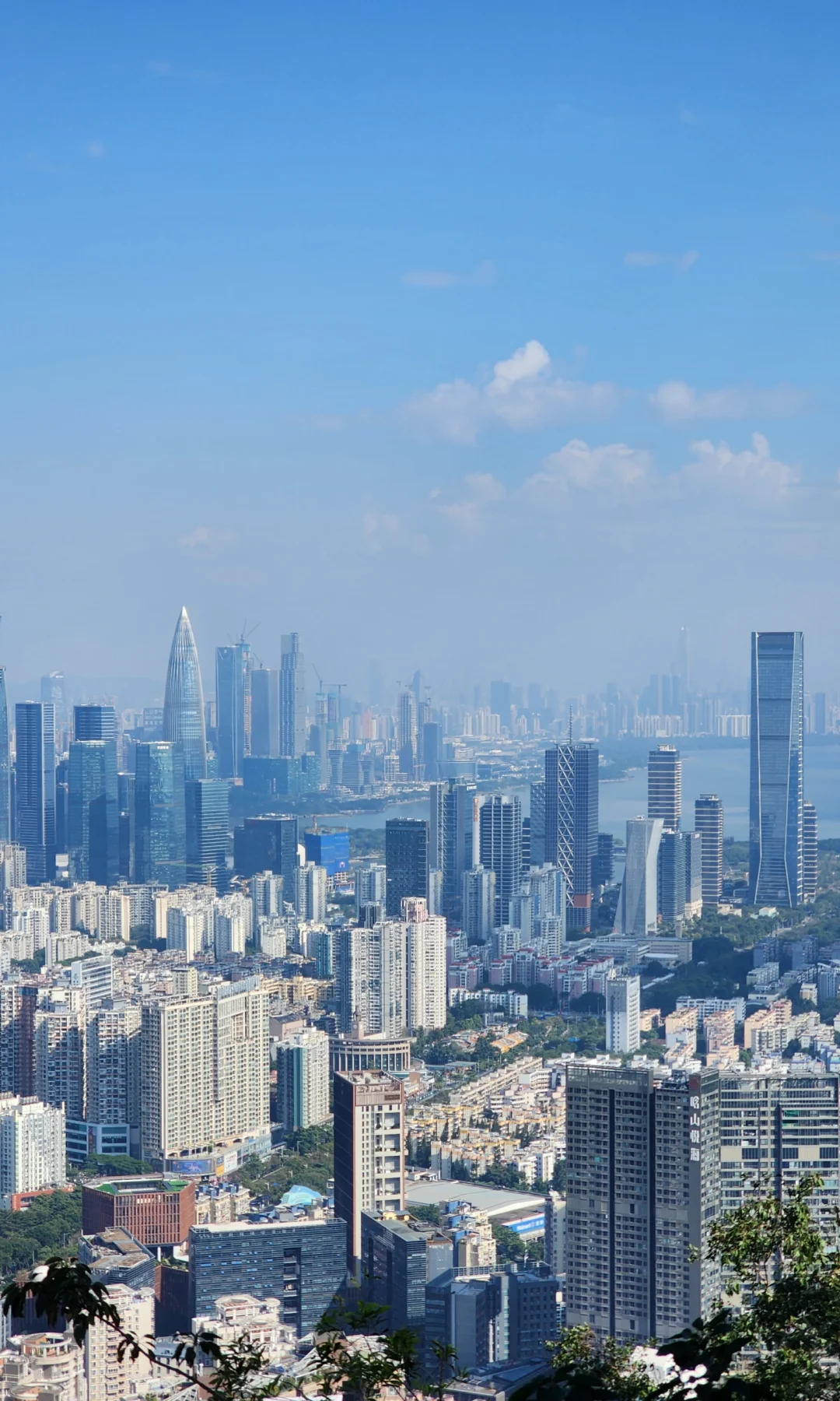 深圳大南山真的很低调