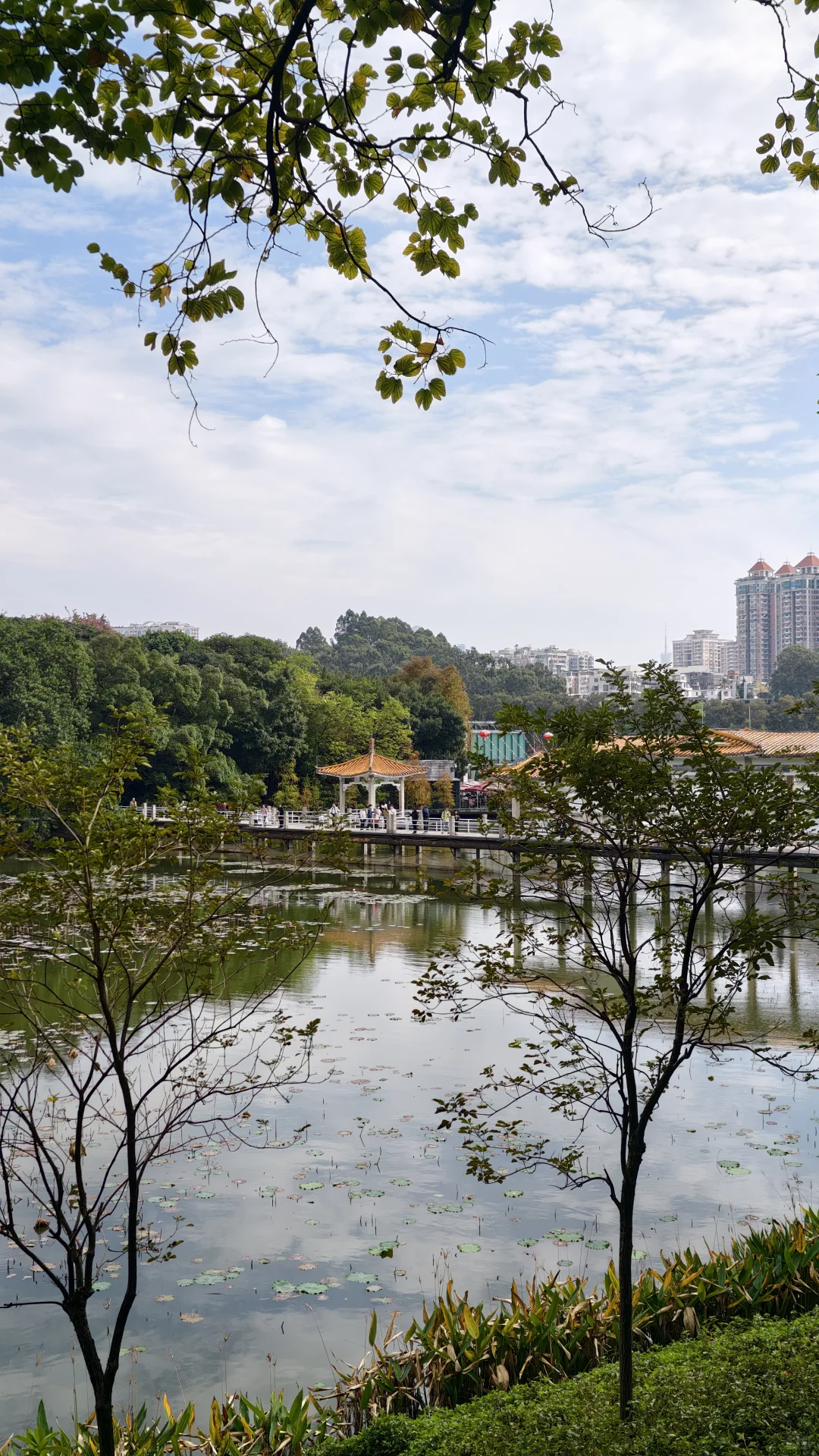周末好去处‼️超酷云道穿越线8km连玩👏